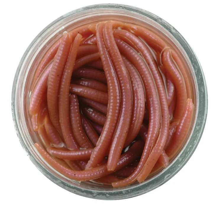 Червь искусств.